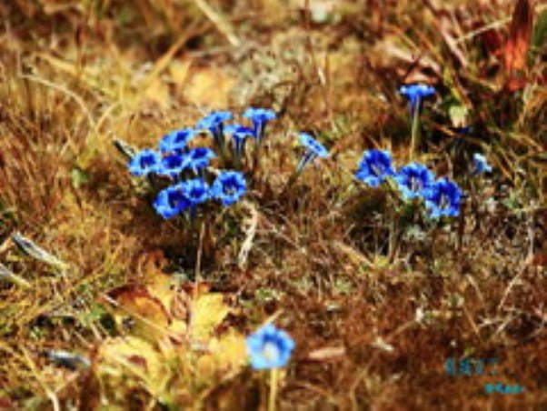 20130730142918145209.jpg